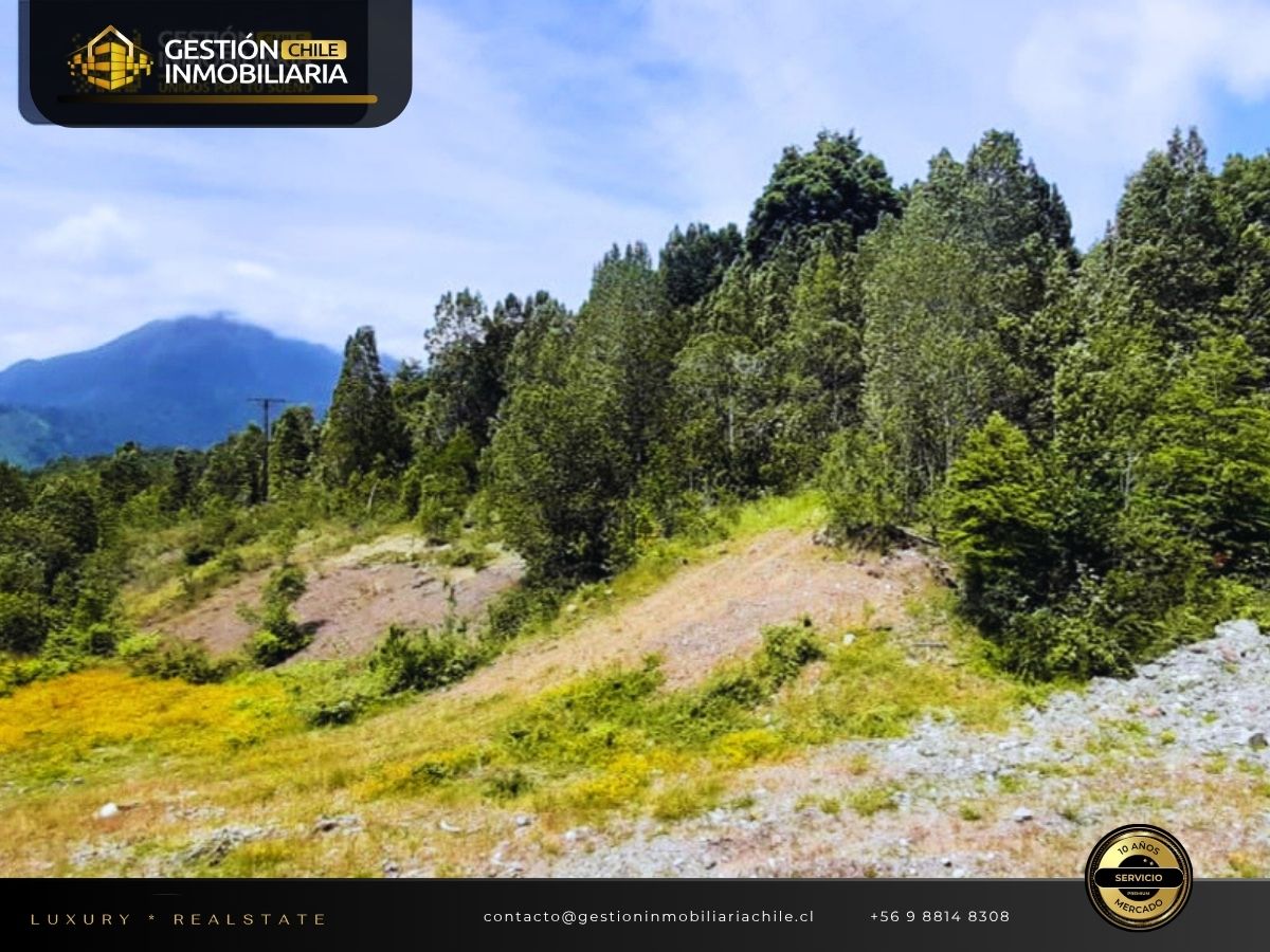 REBAJADO! EXCLUSIVO TERRENO CON 180M DE PLAYA AL LAGO RUPANCO - Imagen 16