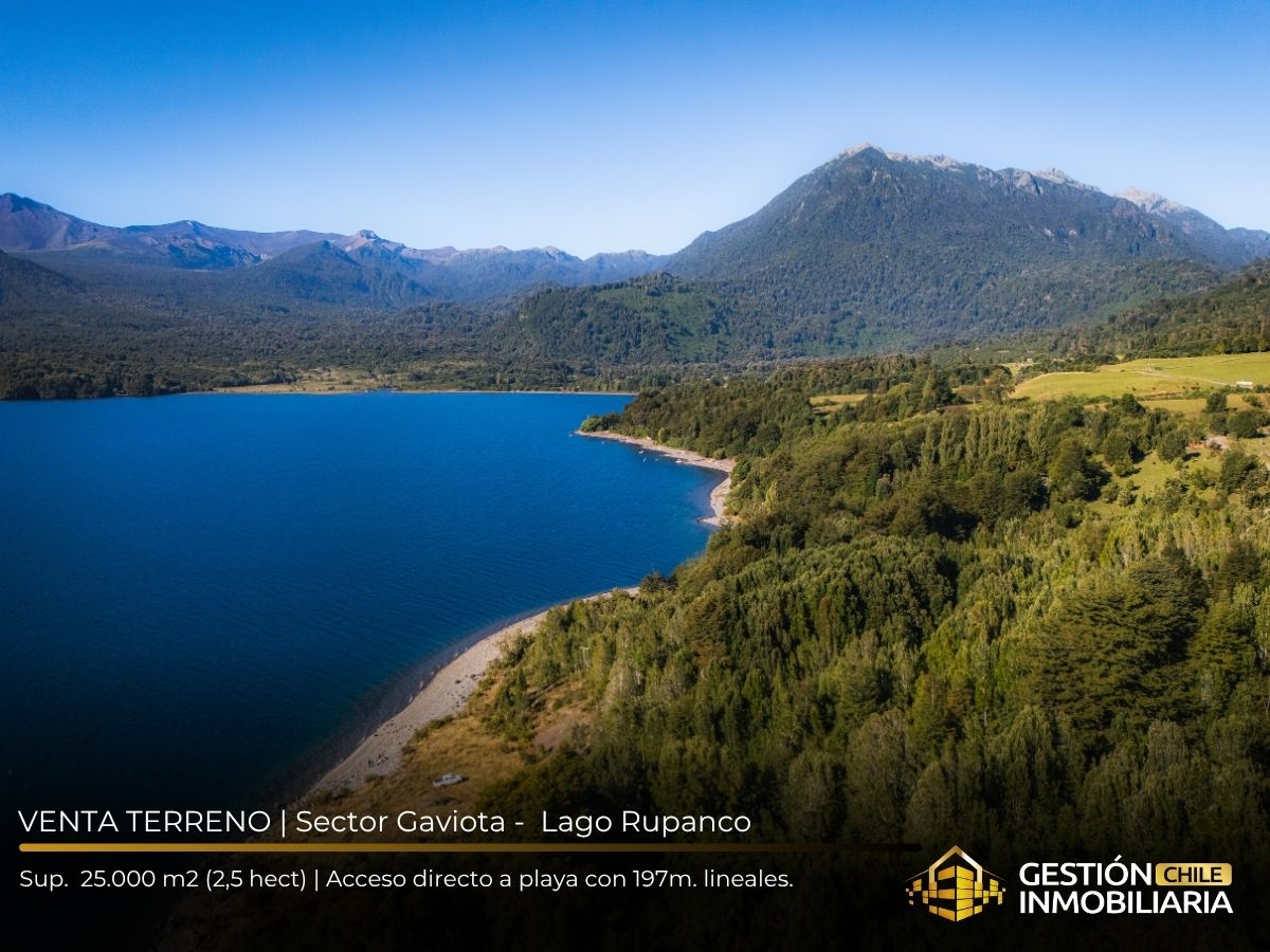 REBAJADO! EXCLUSIVO TERRENO CON 180M DE PLAYA AL LAGO RUPANCO - Imagen 2