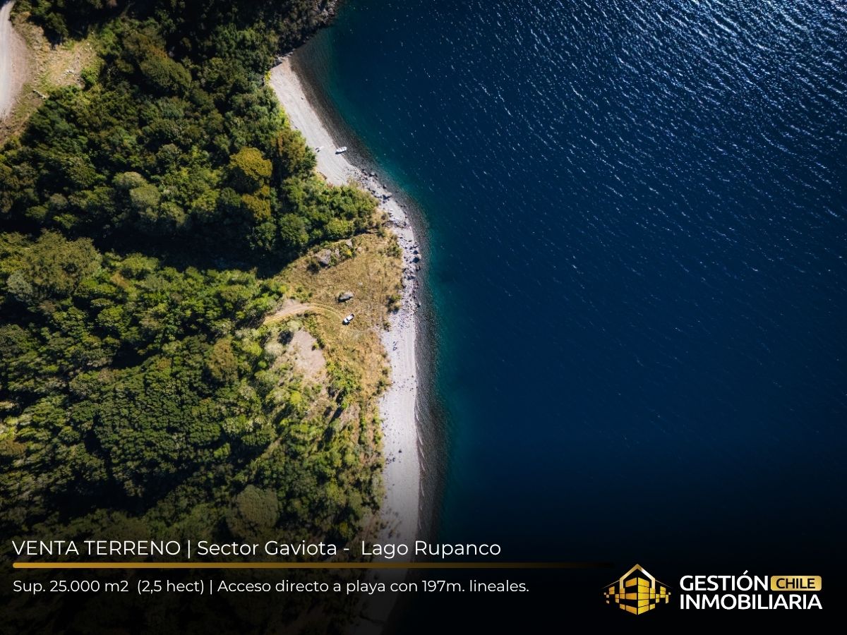REBAJADO! EXCLUSIVO TERRENO CON 180M DE PLAYA AL LAGO RUPANCO - Imagen 3