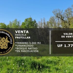 PRECIOSA PARCELAS URBANIZADAS A 15 MIN DE CENTRO FRUTILLAR