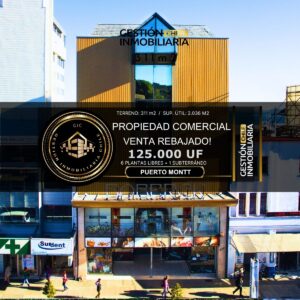 Edificio Comercial 6 Pisos | Antonio Varas | 2.036 m² | Alto Flujo